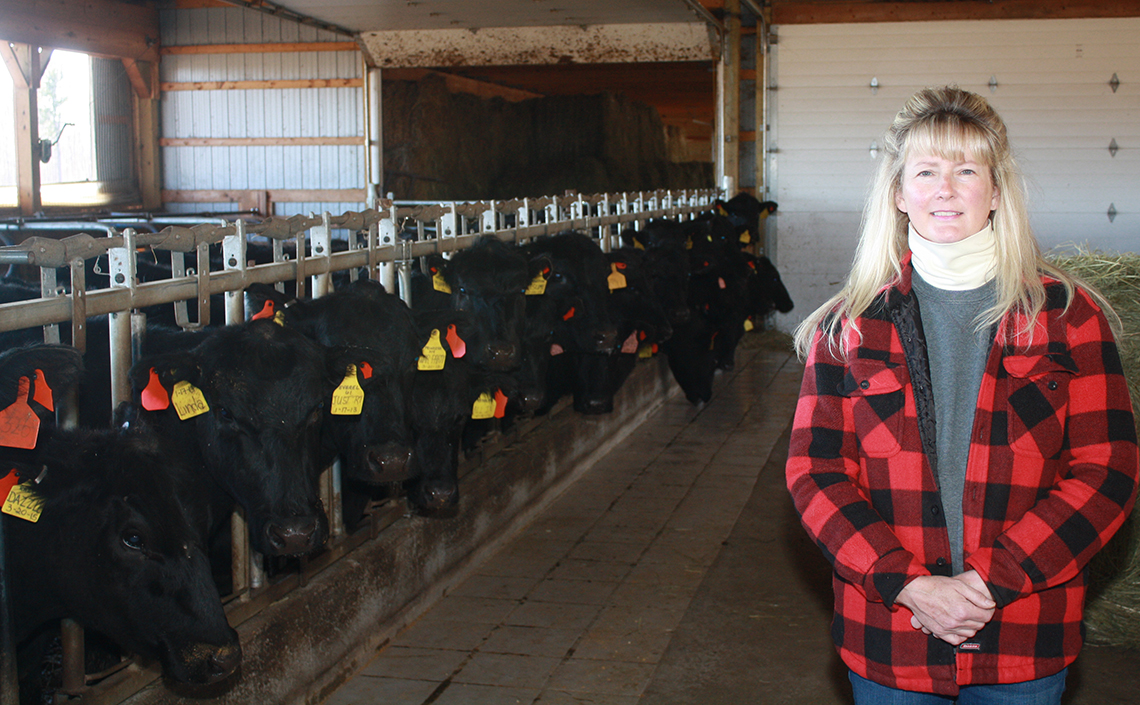 Registered Bulls inside Barn